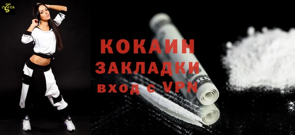 крисы Новокубанск