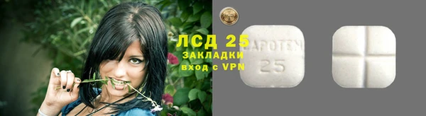 крисы Новокубанск