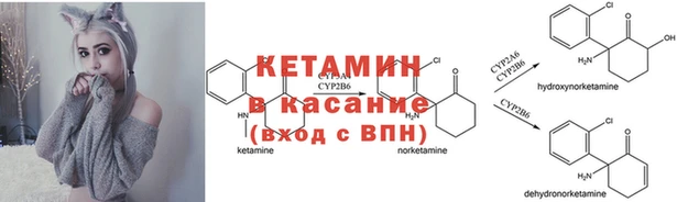 ПСИЛОЦИБИНОВЫЕ ГРИБЫ Вязьма