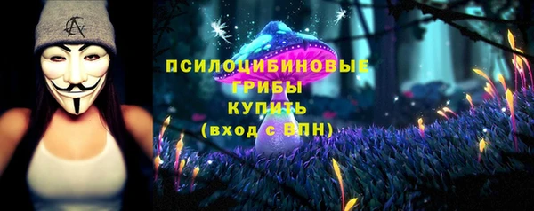 герыч Няндома