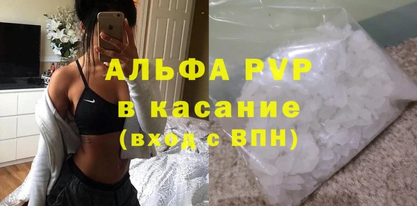 трава Новозыбков