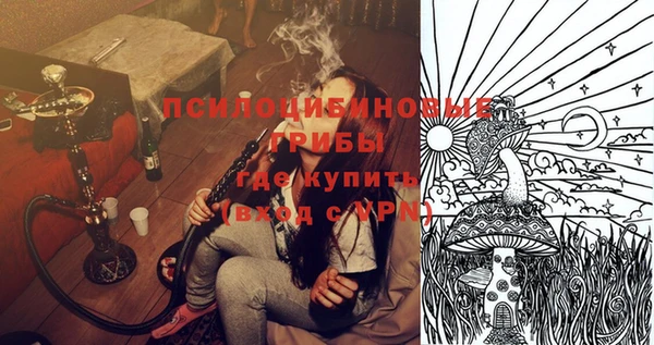 молекула духа Вяземский