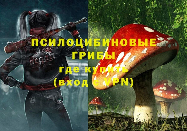 бошки Нязепетровск