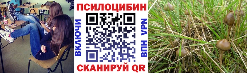 Псилоцибиновые грибы Psilocybe  купить наркотики цена  Ликино-Дулёво 